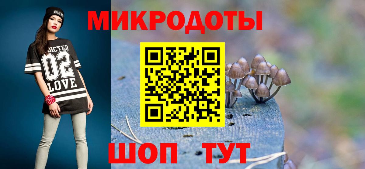 Псилоцибиновые грибы мицелий Сургут