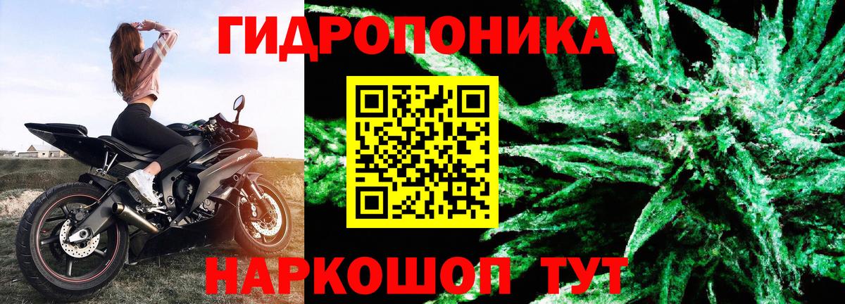 Бошки Шишки AK-47  Каннабис VHQ  МАРИХУАНА конопля  Вход с VPN  Сургут 